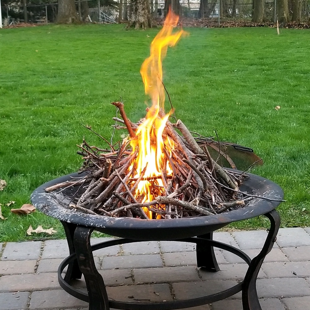 Meet your Posher, Lorraine